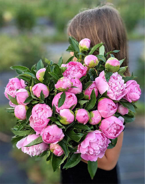 pink cut peonies for sale in greenville spartanburg south carolina for mothers day