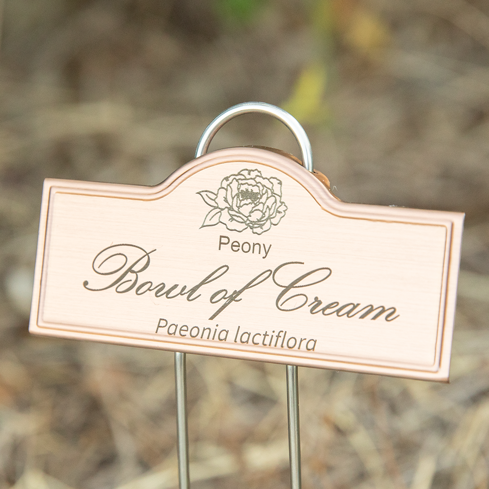 Plant Marker Engraved - All Varieties