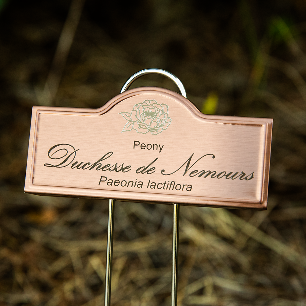 Plant Marker Engraved - All Varieties