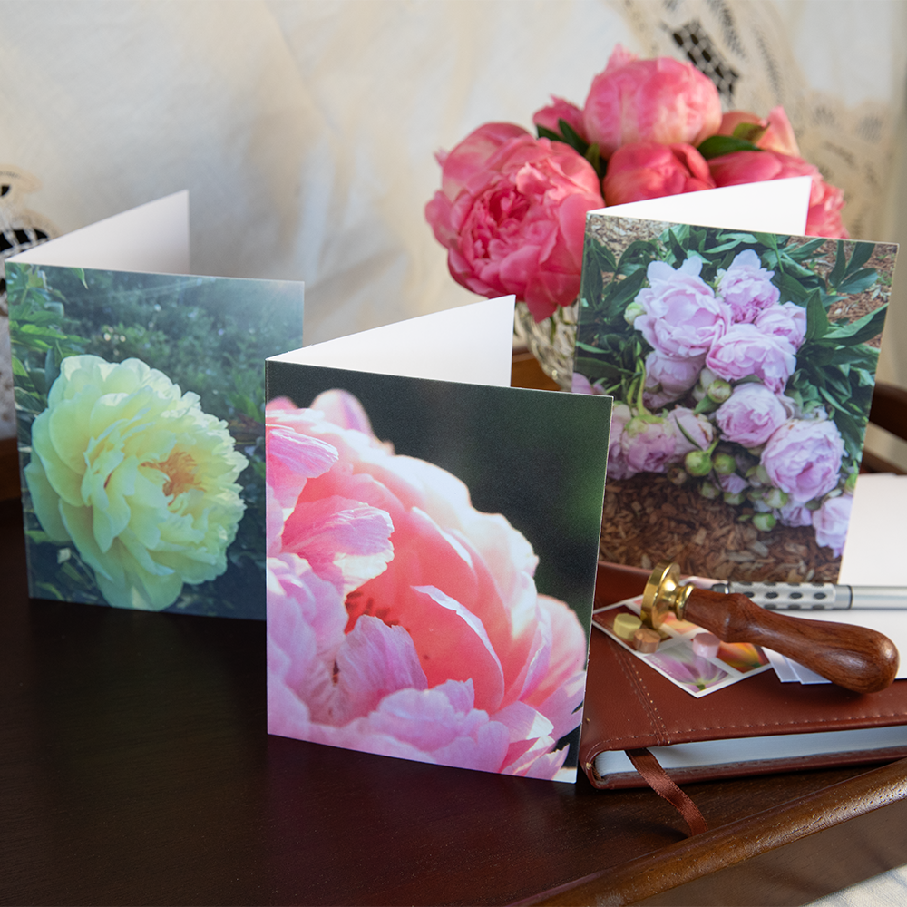 Greeting Card Set