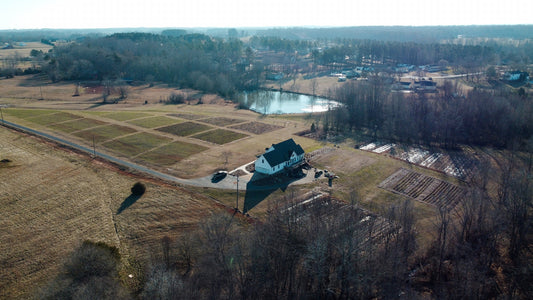 The Peony/Farm/er in Winter
