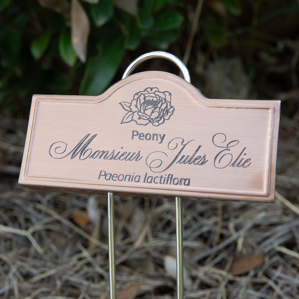 Engraved Copper Peony Marker Preorder