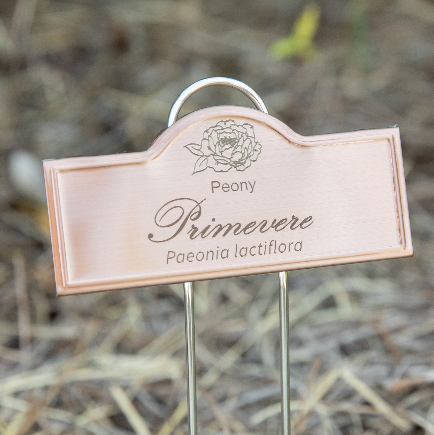 Engraved Copper Peony Marker Preorder