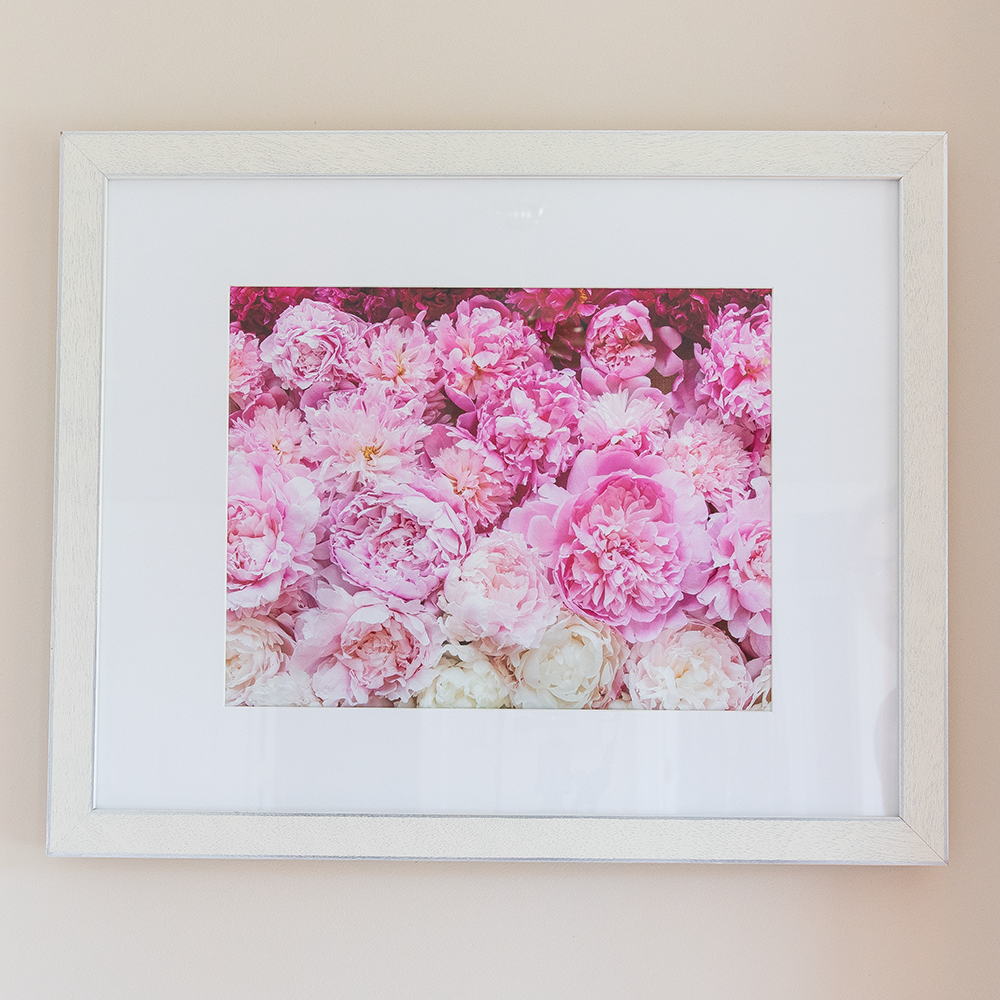 Peony Print--Pink Gradient 11"x14"