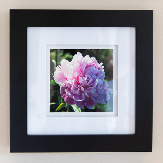 Peony Print--Medium Pink 5"x5"