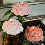 Scented Peony Candle Set