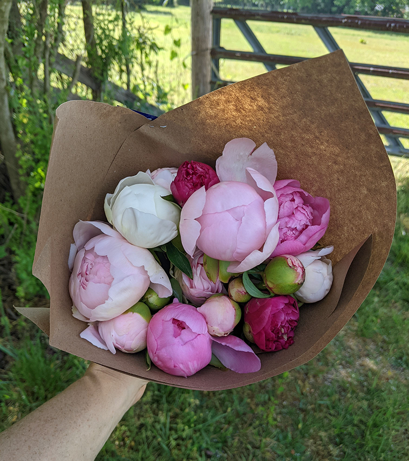 Peony Bunch--Shipped Nationwide